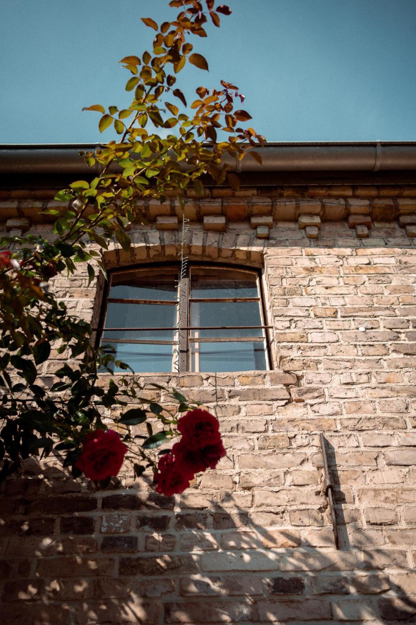 Thomashof Klein-Mutz Zehdenick Exterior foto